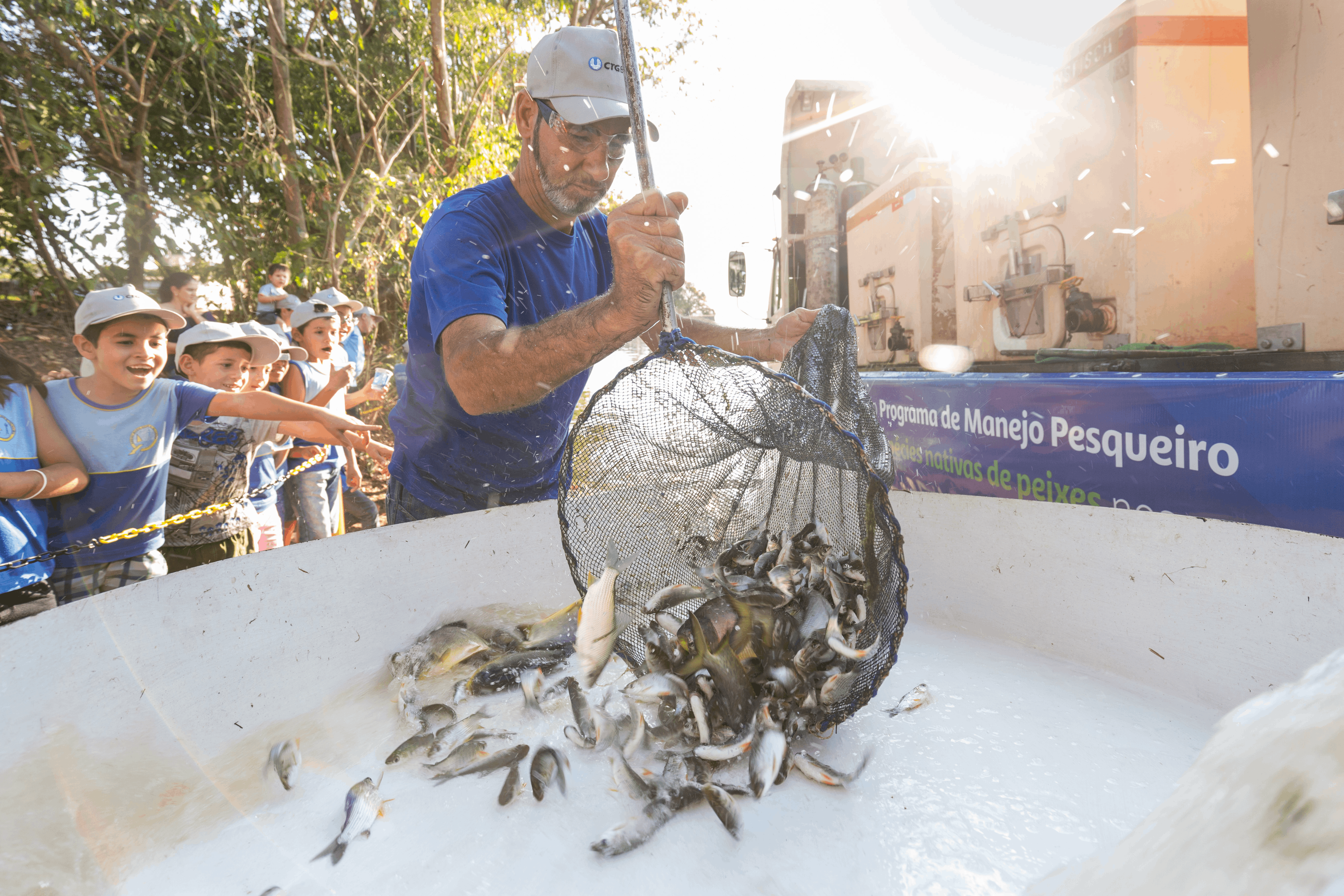 Fish release and protection in Brasil